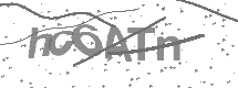 visual captcha
